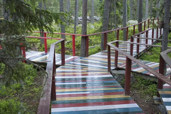 Farbige Straße zum Spazierengehen im Wald — Stockfoto