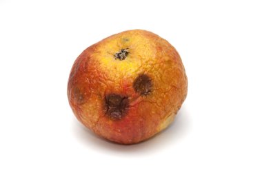 Kuru ve buruşuk elma