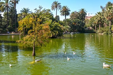 Barcelona 'daki Ciutadella Parkı