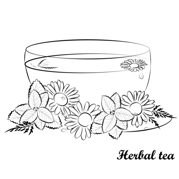 Bitkisel çay vektörü siyah ana hatları. Papatya çaylı bir fincan nane şekeri. Sadece siyah çizgiler. Çay vektör sanatı
