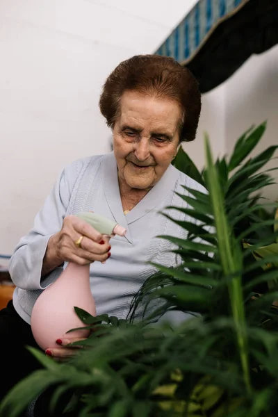 Yaşlı bir kadın terasındaki çiçekleri bir tencereyle suluyor. Bitkiler büyükannenin tutkusudur. Büyükanne bahçede.