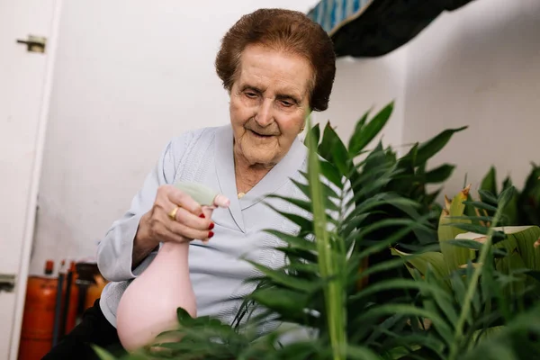 Terasında çiçekleri sulayan yaşlı bir kadının portresi.