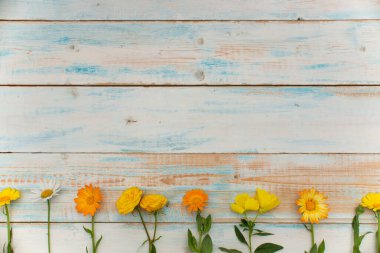 Sonbahar arkaplanı düzleşmişti. Sonbahar zaman kavramı eşuzay