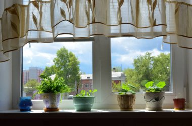 Yazın perdesi olan bir pencerenin arka planında saksıda çiçekler