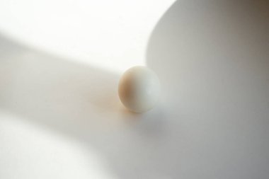 Gölge ile beyaz arka plan üzerinde beyaz yumurta