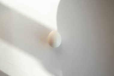 Gölge ile beyaz arka plan üzerinde beyaz yumurta