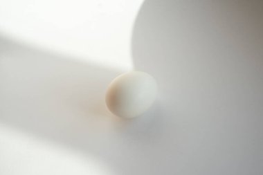 Gölge ile beyaz arka plan üzerinde beyaz yumurta