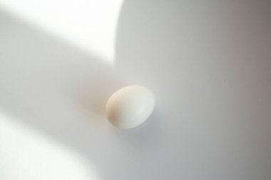 Gölge ile beyaz arka plan üzerinde beyaz yumurta