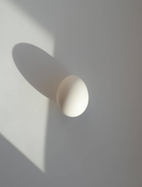 Gölge ile beyaz arka plan üzerinde beyaz yumurta