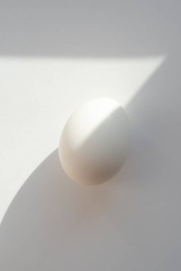 Gölge ile beyaz arka plan üzerinde beyaz yumurta