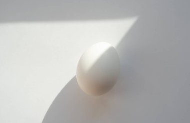 Gölge ile beyaz arka plan üzerinde beyaz yumurta