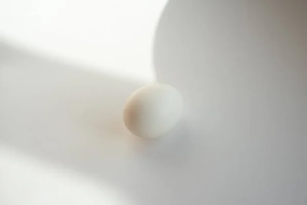 Gölge ile beyaz arka plan üzerinde beyaz yumurta