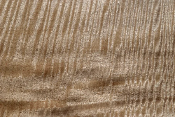 ahşap doku arkaplanı