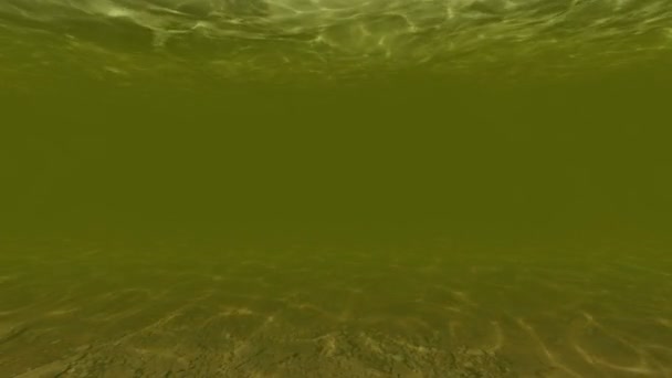Debaixo de água de animação lagoa — Vídeo de Stock