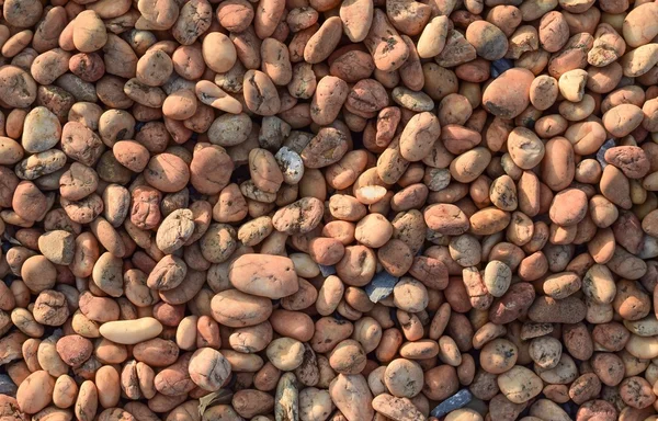 Çakıl taşları deniz taşları