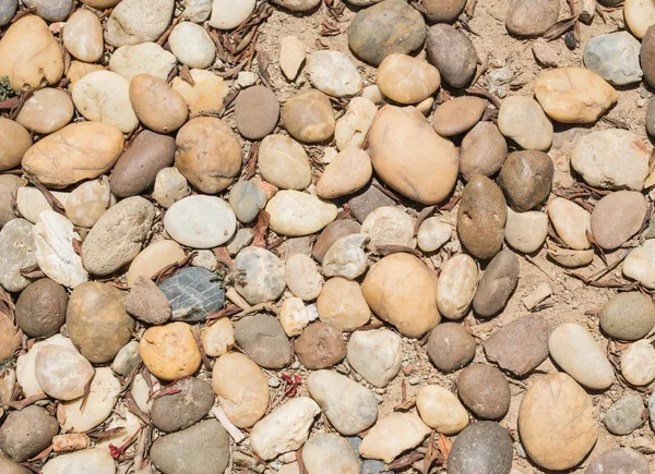 Bahçe çakıl yığını