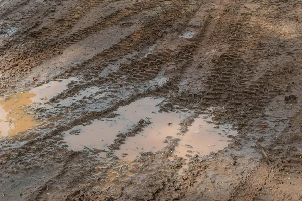 Wielsporen op de grond — Stockfoto