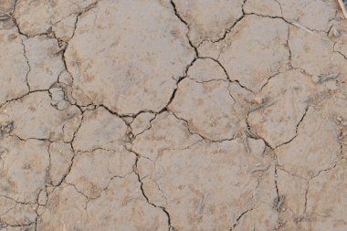 kurutulmuş zemin çatlaklar ile kaplı. 