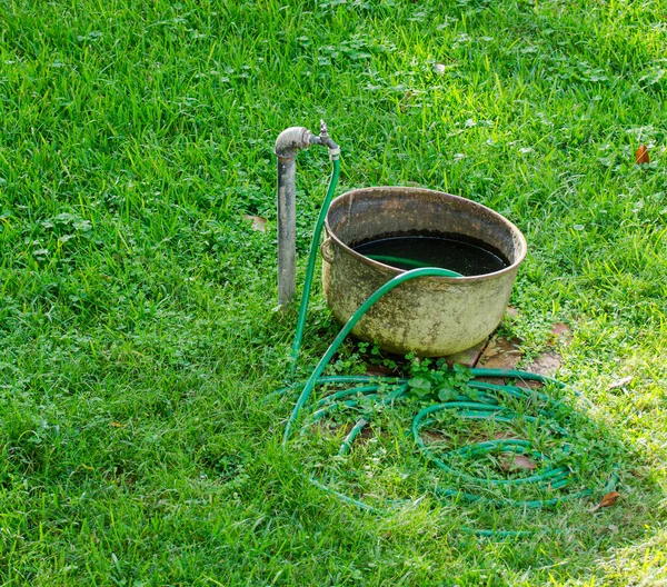 Faucet Tub Garden Hose Lawn — Stock Photo, Image