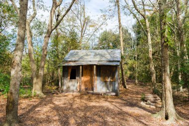 Kahverengi Pelikanlar Barataria Körfezi 'ndeki Pelikan Adası' nda ve Louisiana Körfezi 'nde oturuyor.