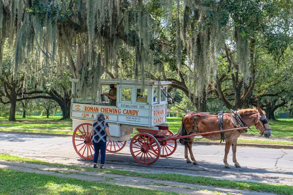 New Orleans Agosto 2020 Roman Chewing Candy Mule Drawn Wagon — Foto de Stock