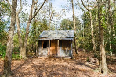 YENİ ORLEANS, LA 19 ARALIK 2020: Ormandaki ahşap kulübe