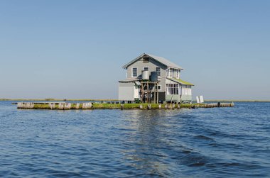 BARATARIA, LA, ABD - 26 Ekim 2014; Barataria Körfezi 'ndeki küçük bataklık adasında tuzlu su baskını, sübvansiyon ve küresel ısınma sonucu izole edilmiş ev