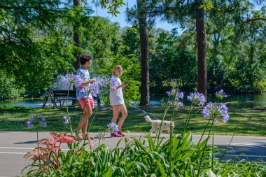 NEW ORLEANS, LA, ABD - 3 MAYIS 2020: Audubon Park yolunda yürüyen insanlar ve köpekler