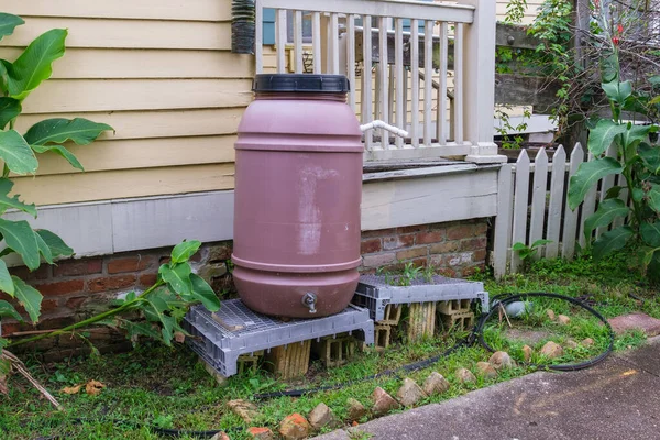 Rain barrel on side of Uptown New Orleans home