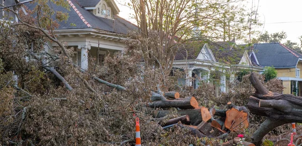 New Orleans Estados Unidos Septiembre 2021 Cayeron Cortaron Árboles Del —  Fotos de Stock