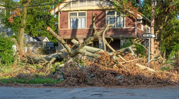 New Orleans Estados Unidos Septiembre 2021 Gran Árbol Caído Del —  Fotos de Stock