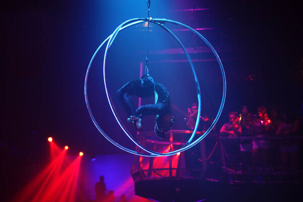 Flexible young woman make performance on aerial hoop, flexible back on aerial hoop, aerial circus show, blue and red light. Flexible woman gymnast upside down on hoop. Cat costume