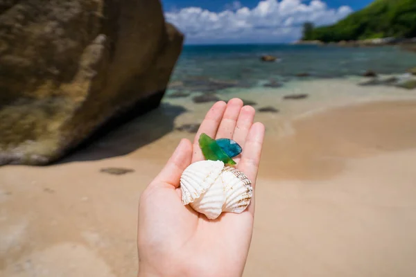 Eine Weibliche Hand Hält Drei Muscheln Und Grünes Glas Das — Stockfoto