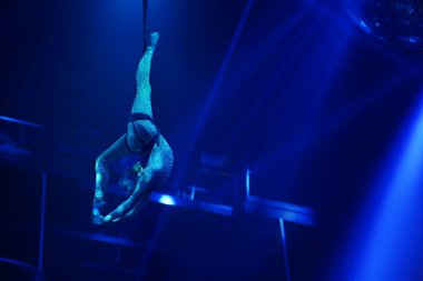 Esnek genç kadın hava gösterisi yapıyor, mavi ışık, esnek bölünmüş sirk gösterisi. Esneyen kadınlar. Jimnastikçi baş aşağı, esnek sırt