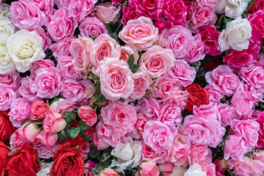 Farklı renklerde suni güller, pembe kırmızı güller.