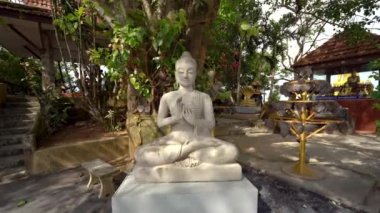 Büyük Buda tapınağındaki bir bahçede duran taş Buda heykeli, Phuket, Tayland