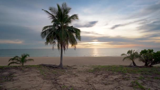 Lindo pôr do sol praia tropical com palmeira e céu cinza para viagens e férias em férias relaxar tempo — Vídeo de Stock