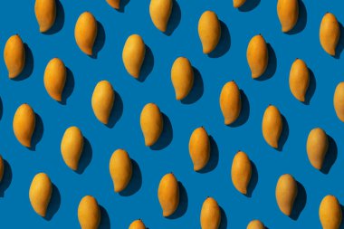 Parlak mavi arkaplanda sarı mango deseni. Üst Manzara. Minimum tropikal meyve yaz konsepti.