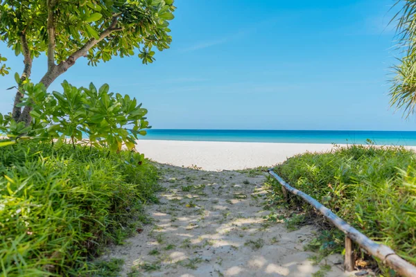 Ein Sandweg im Schatten führt zu einem tropischen Strand mit türkisfarbenem Wasser. Sommerkonzept — Stockfoto