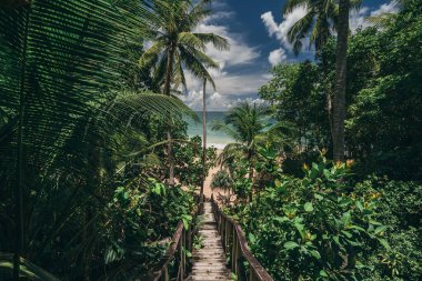 Tropikal ormanda yol. Plaj palmiyeleri, beyaz kum ve mavi deniz, mükemmel yaz tatili manzarası ya da bayram afişi. Güzel turizm merkezi Phuket