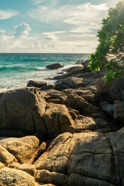 Gün batımında okyanus dalgalarıyla kayalık uçurum kıyısı. Dikey fotoğraf