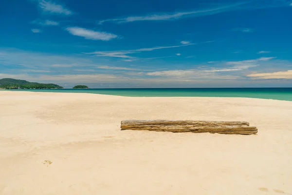 Der Baumstamm liegt am Sandstrand einer atemberaubenden Strandlandschaft. Sommerurlaub und Naturerlebniskonzept. — Stockfoto