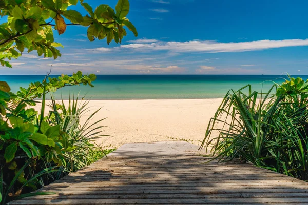 Der Weg führt an einem sonnigen Sommertag durch Büsche hinunter zum tropischen Strand. Sommerurlaub und Naturerlebniskonzept. — Stockfoto