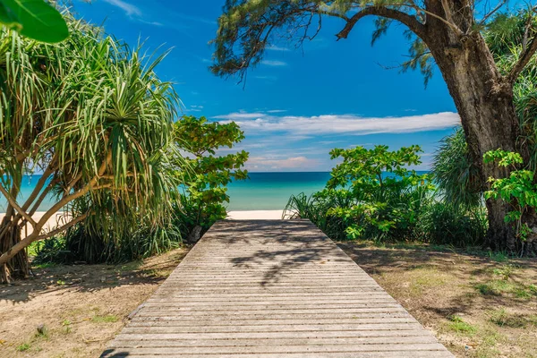 Der Weg führt an einem sonnigen Sommertag hinunter zum tropischen Strand. Sommerurlaub und Naturerlebniskonzept. — Stockfoto