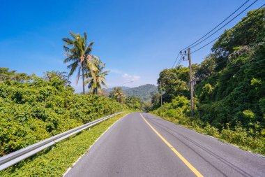 Manzaralı tropik orman yolunda asfalt yol