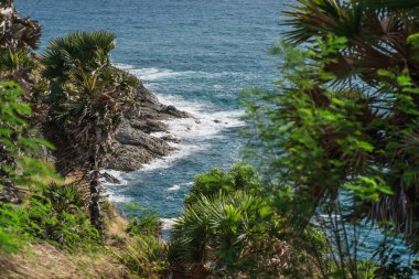 View through palm trees and bushes on the rocky shore and sea waves. Tropical paradise idyllic background. High quality photo