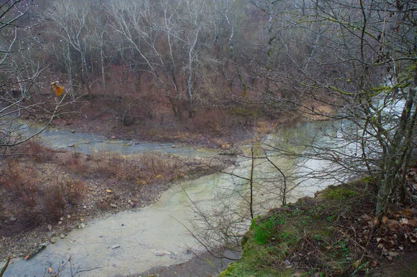 Dirty Rivière Afips Dans Forêt Kuban — Photo