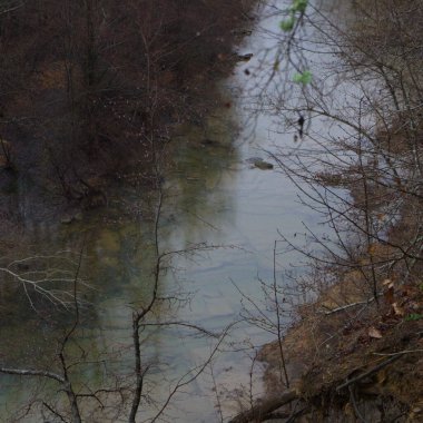 Kuban 'daki Afips Nehri