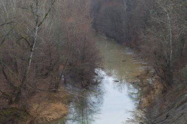 Ormandaki nehrin resimli kara sapı