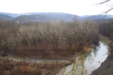 Küçük orman nehrinin güzel manzarası